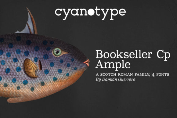 A Maker’s Hands-On Review of the Bookseller Cp Ample Font