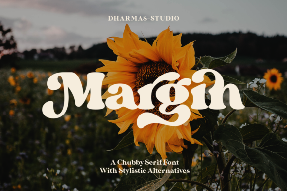 Margin: A Serif Font for Polishing Your Brand's Visual Story