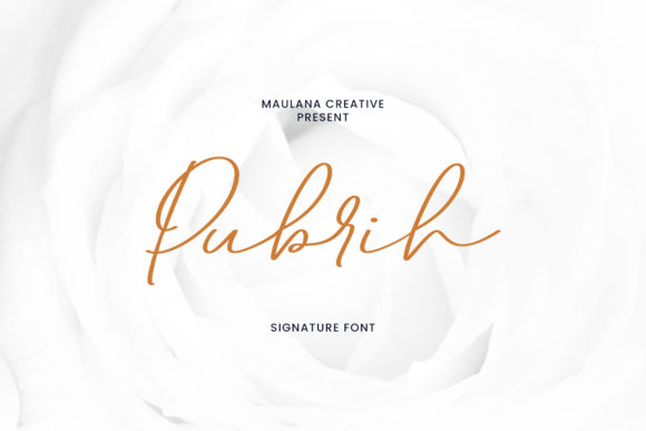 Pubrih: The Elegant Script Font for Modern Marketing