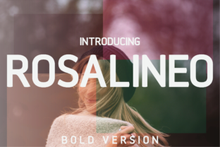 Rosalineo Bold Font: The Ultimate Typeface for Crafters and Sellers