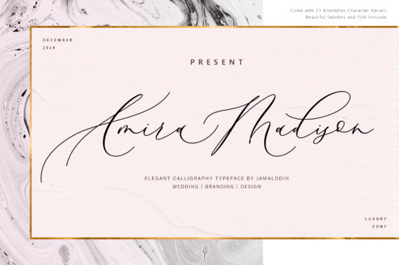 The Amira Madison Modern Script Font for Branding & Digital Content