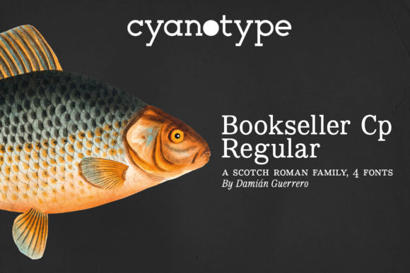 The Bookseller Cp Regular Font for Classic Craft Design